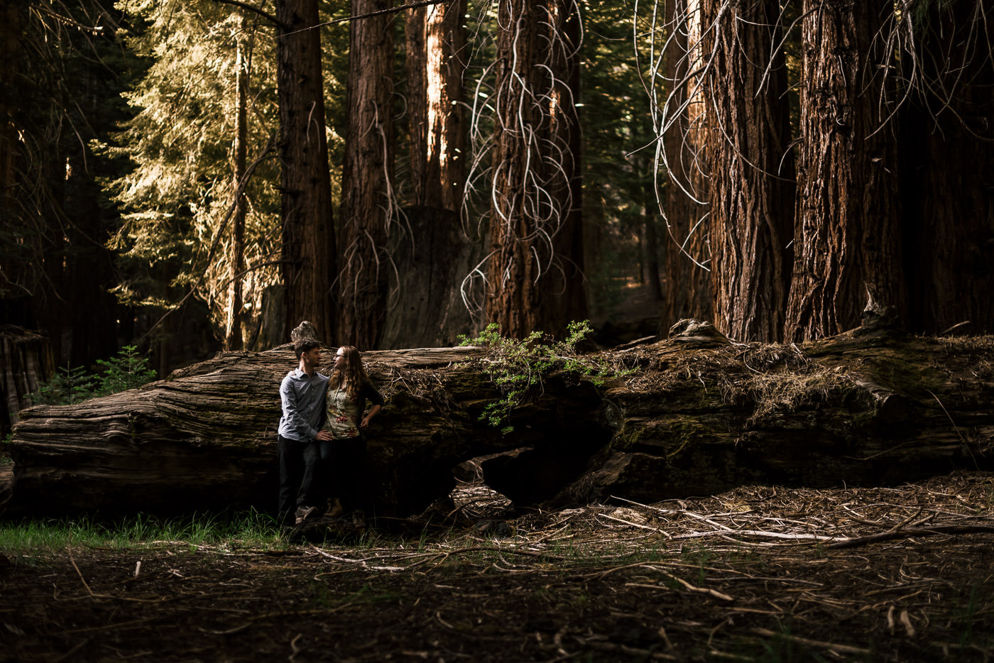 Adventurous couples stands in front of a fallen tree after getting married in sequoia national park California