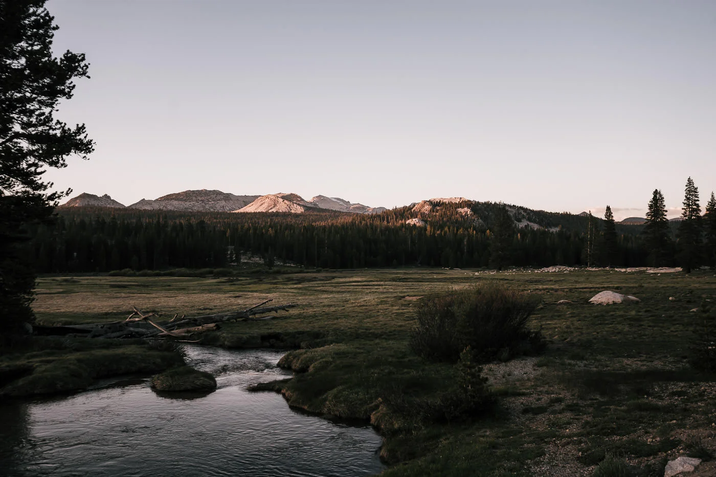 This beautiful quiet meadow at sunset located in the high Sierra makes for the perfect intimate elopement destination.