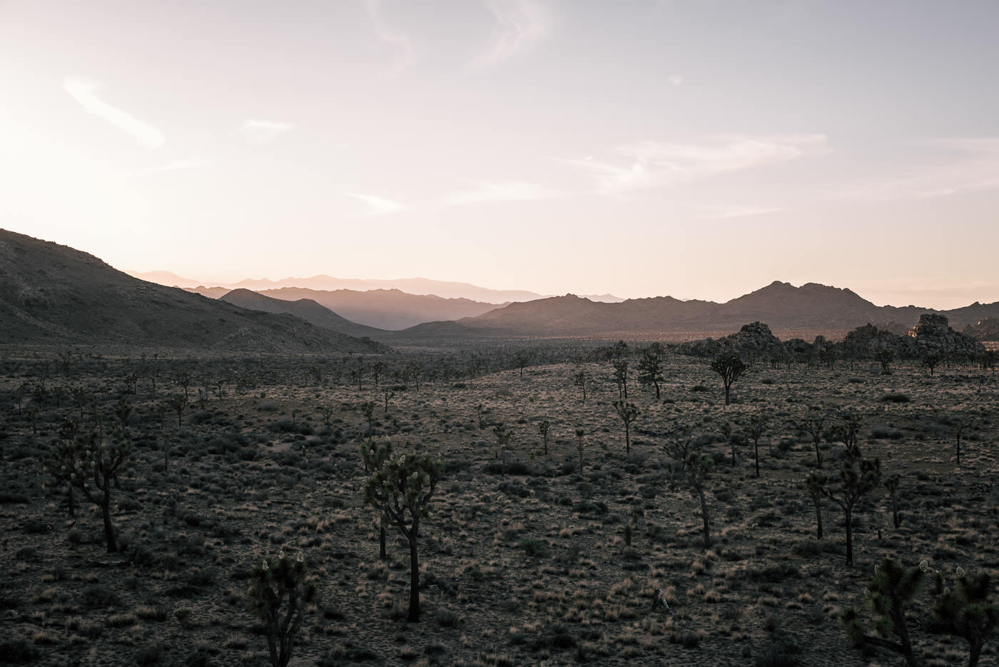 California's Joshua Tree has some of the best sunset's and makes a terrific destination for your intimate wedding