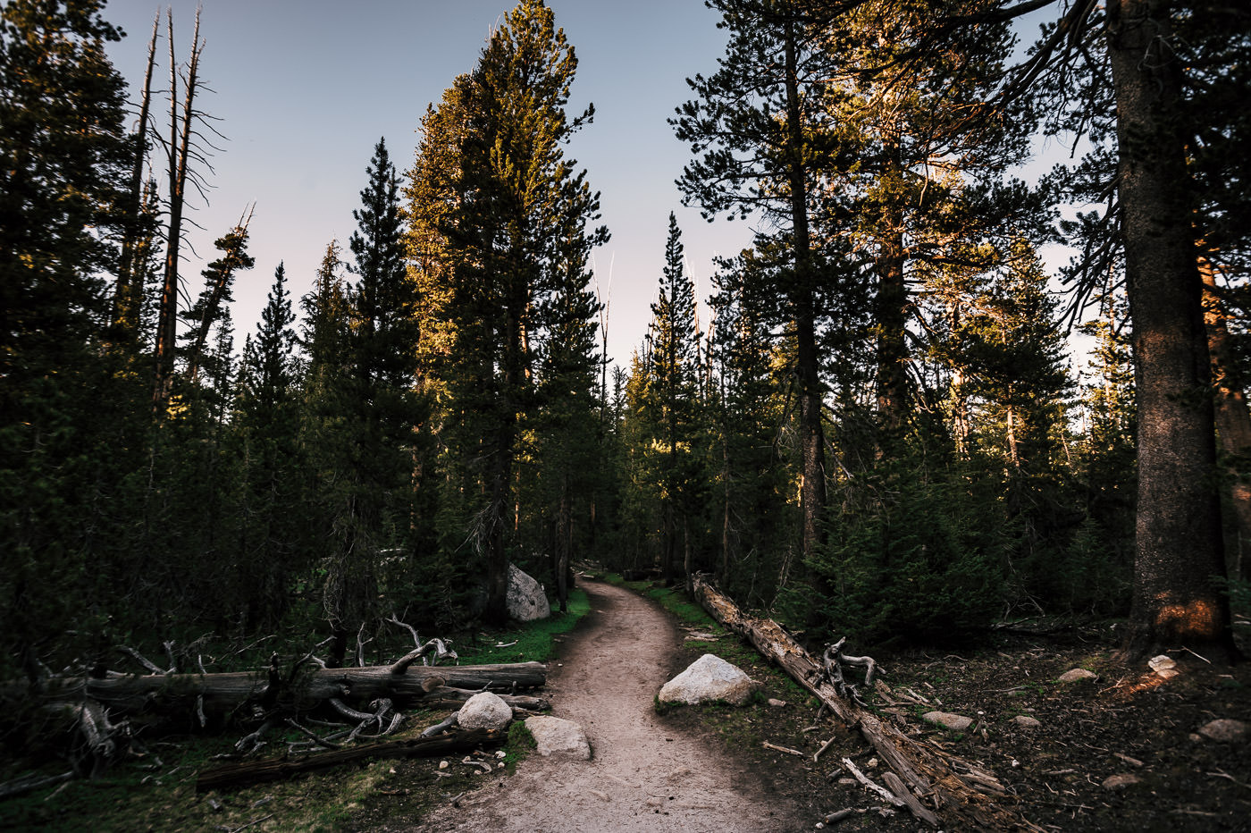 hiking along the trail to cathederal lake in yosemite national park at sunset