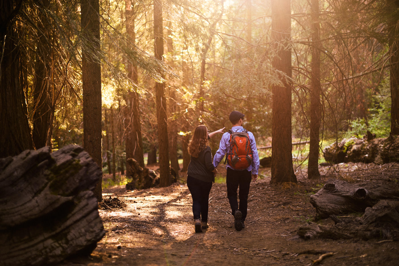 Lovers walk hand and hand on a hike through the forests of Sequoia national park at sunset during their engagement shoot