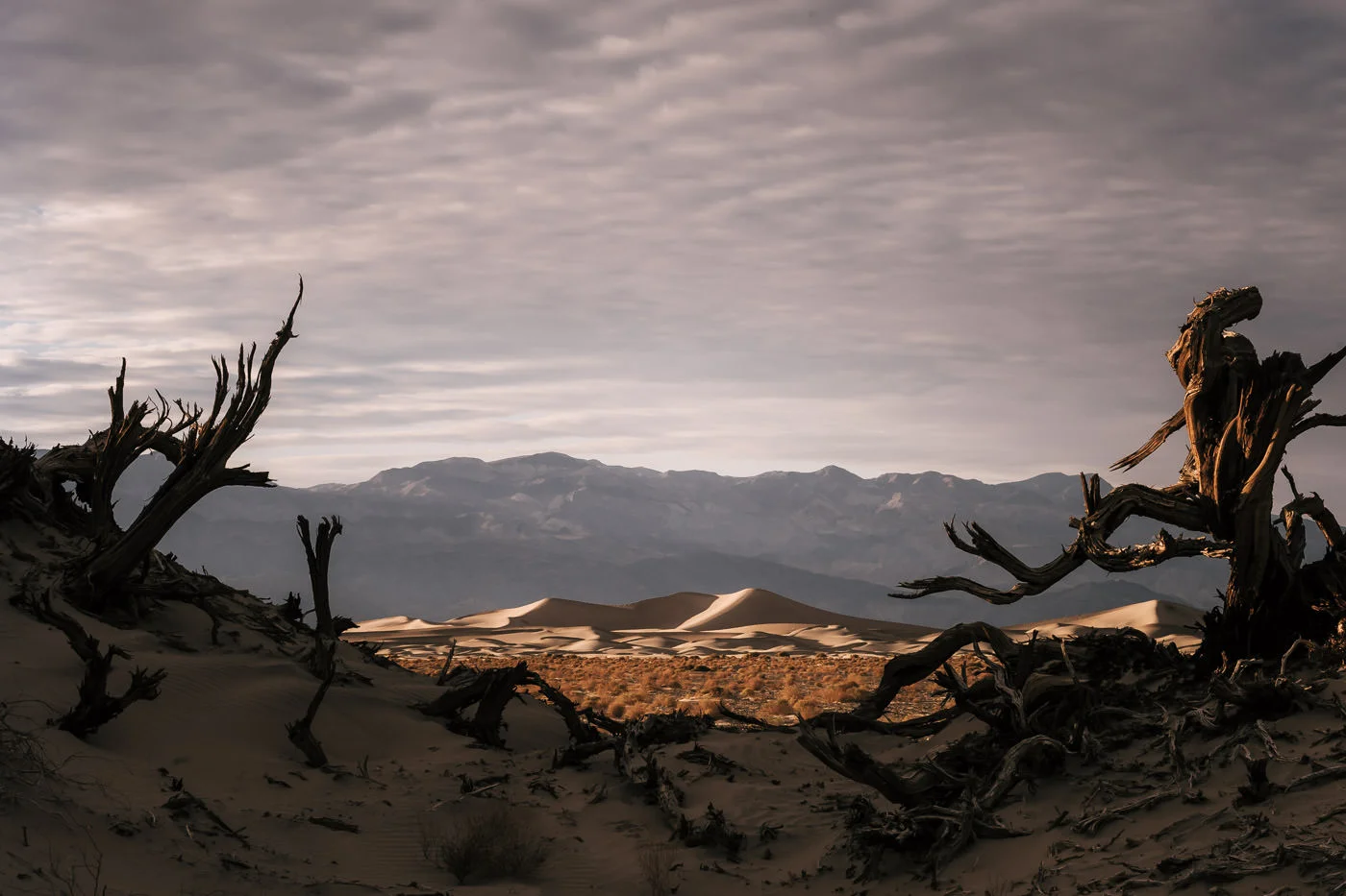 The sand dunes of Death Valley are the perfect destination for your elopement.