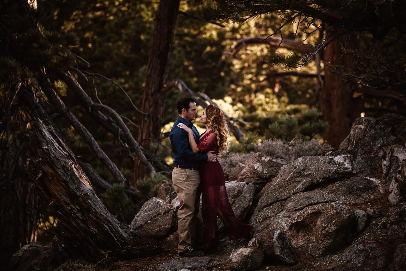 Wild hearts hold each other close in the forests of Mt. San Jacinto in California.