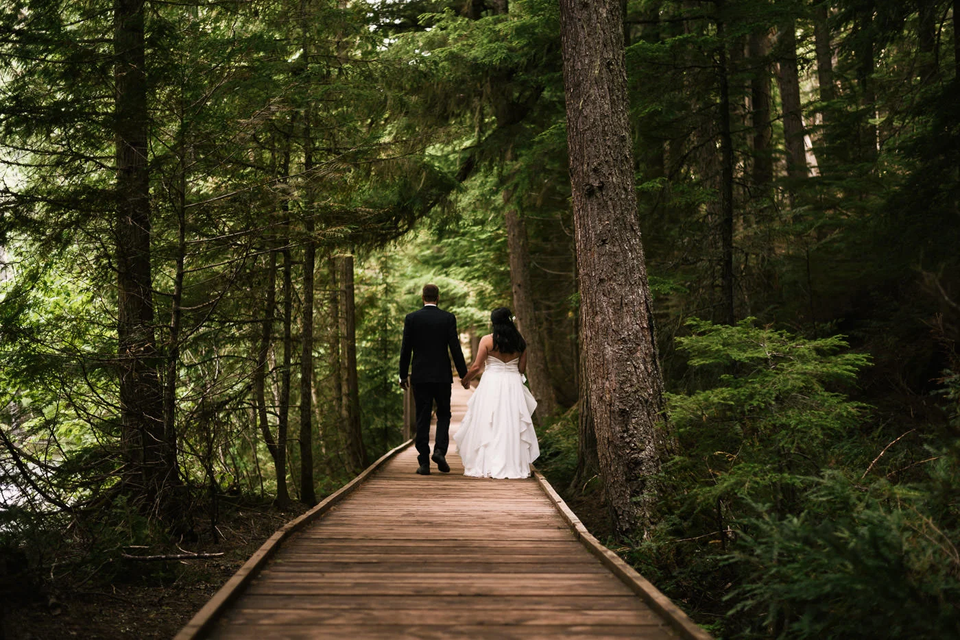 Newlyweds walk down the boardwalk through the trail of cedars.
