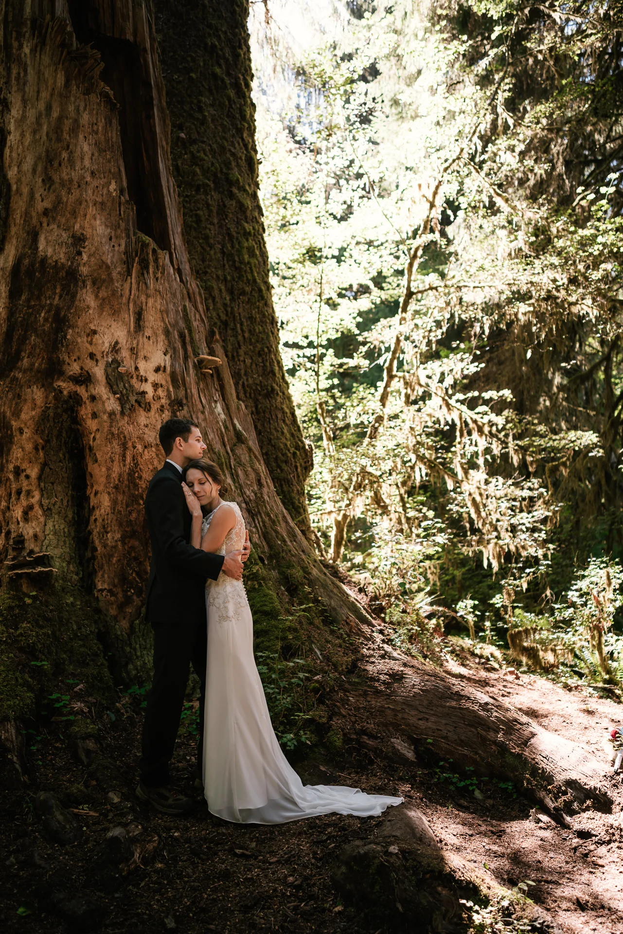 Couple holds each other tight in the shadow of a towering cedar tree in the Hoh Rainforest.