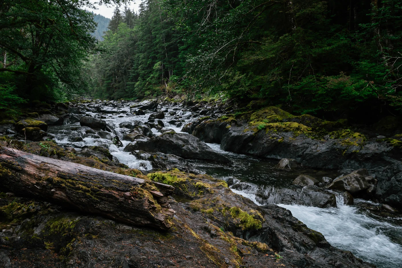 The Sol Duc River and hot springs are one of Olympics most beautiful elopement destinations.