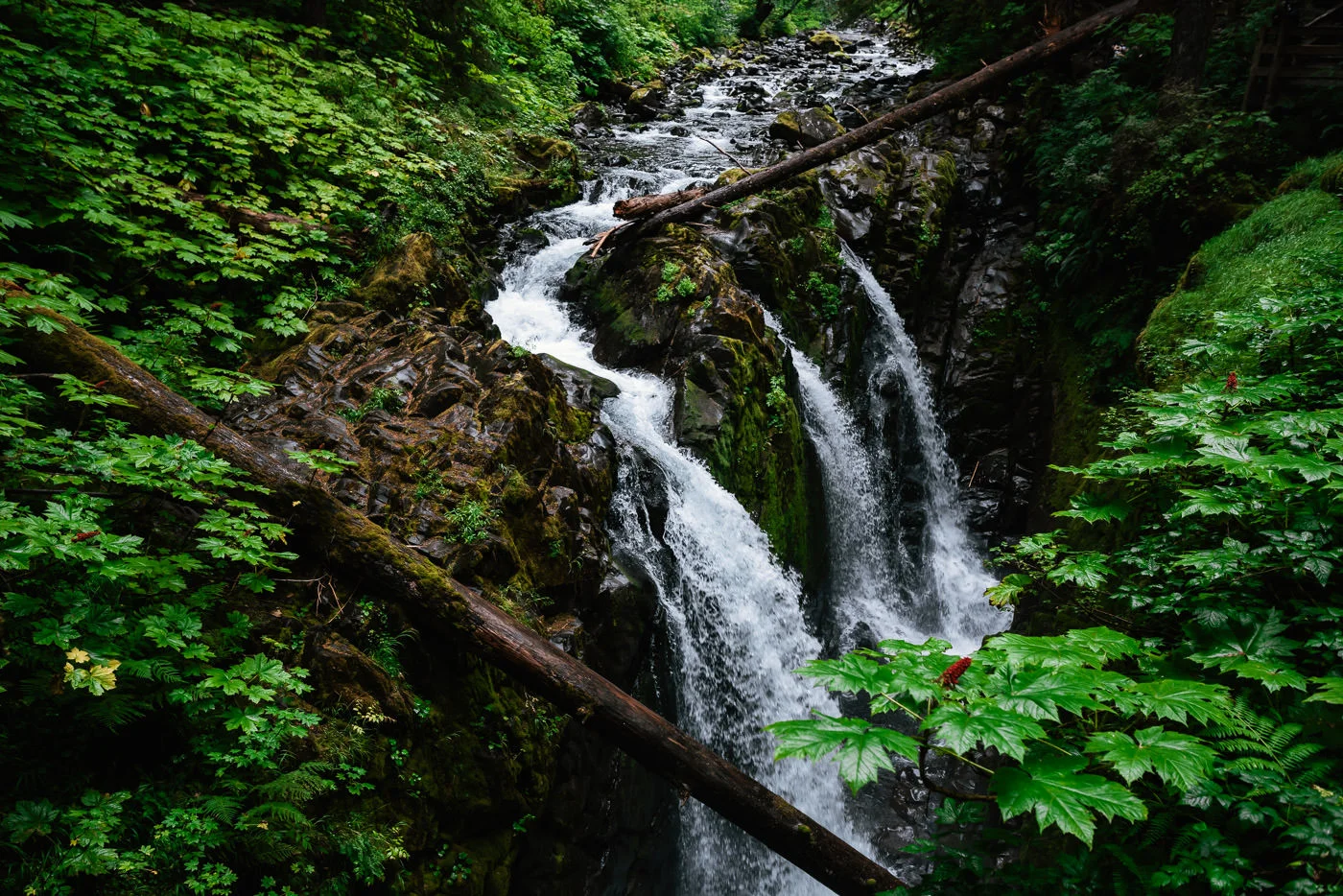 Soleduck Falls in the Olympic National Park makes a spectacular elopement destination for those adventurous hearts.