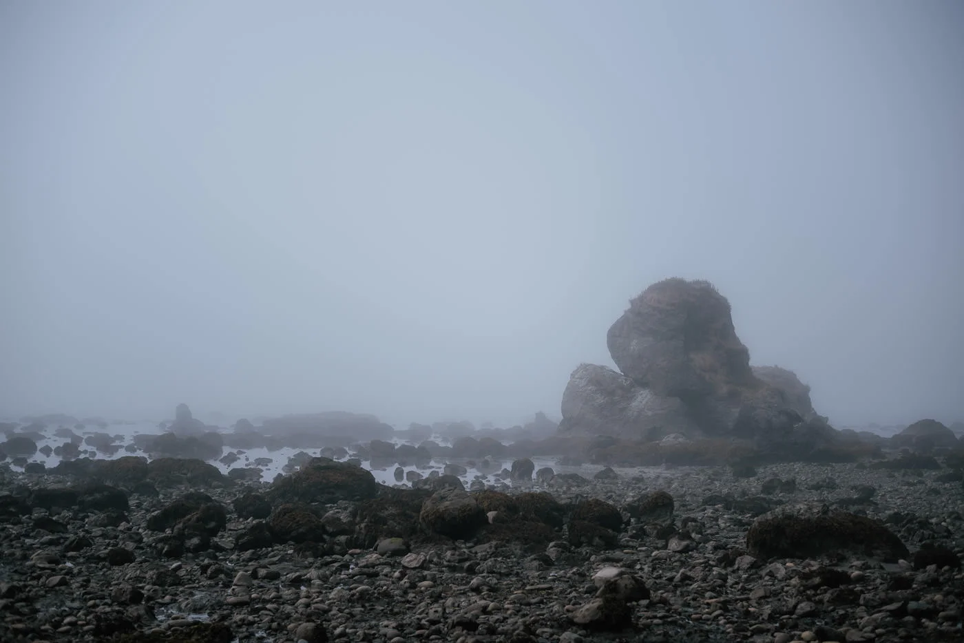 Fog obscures the rocks exposed by the low tide at Ozette Beach in Olympic National Park.