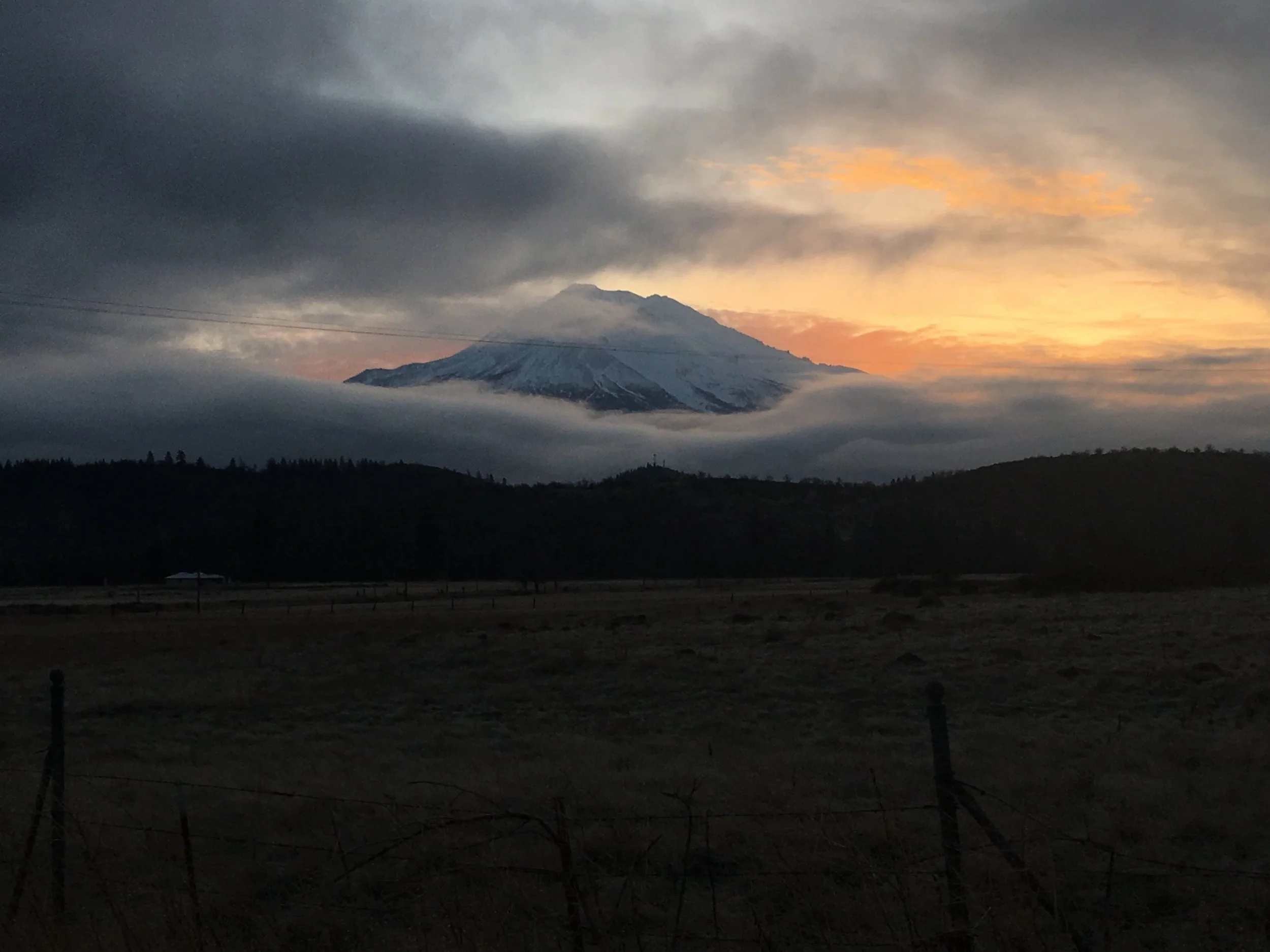 Mt-shasta-hestia-retreat-center-elopement.jpg