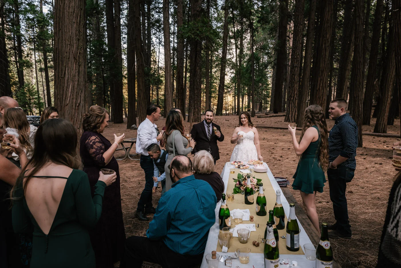 toasts-cathedral-beach-ceremony-locations-elope-yosemite-national-park.jpg