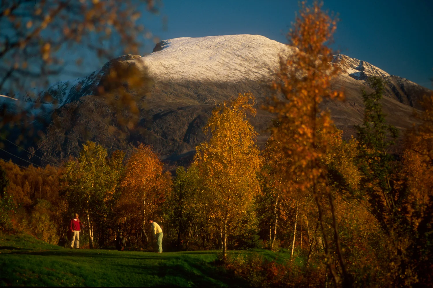bilder_golf4.jpg
