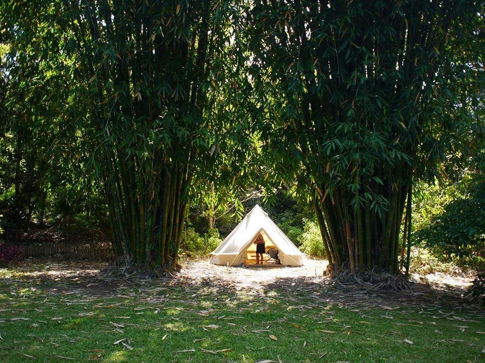 byron tipi.jpg