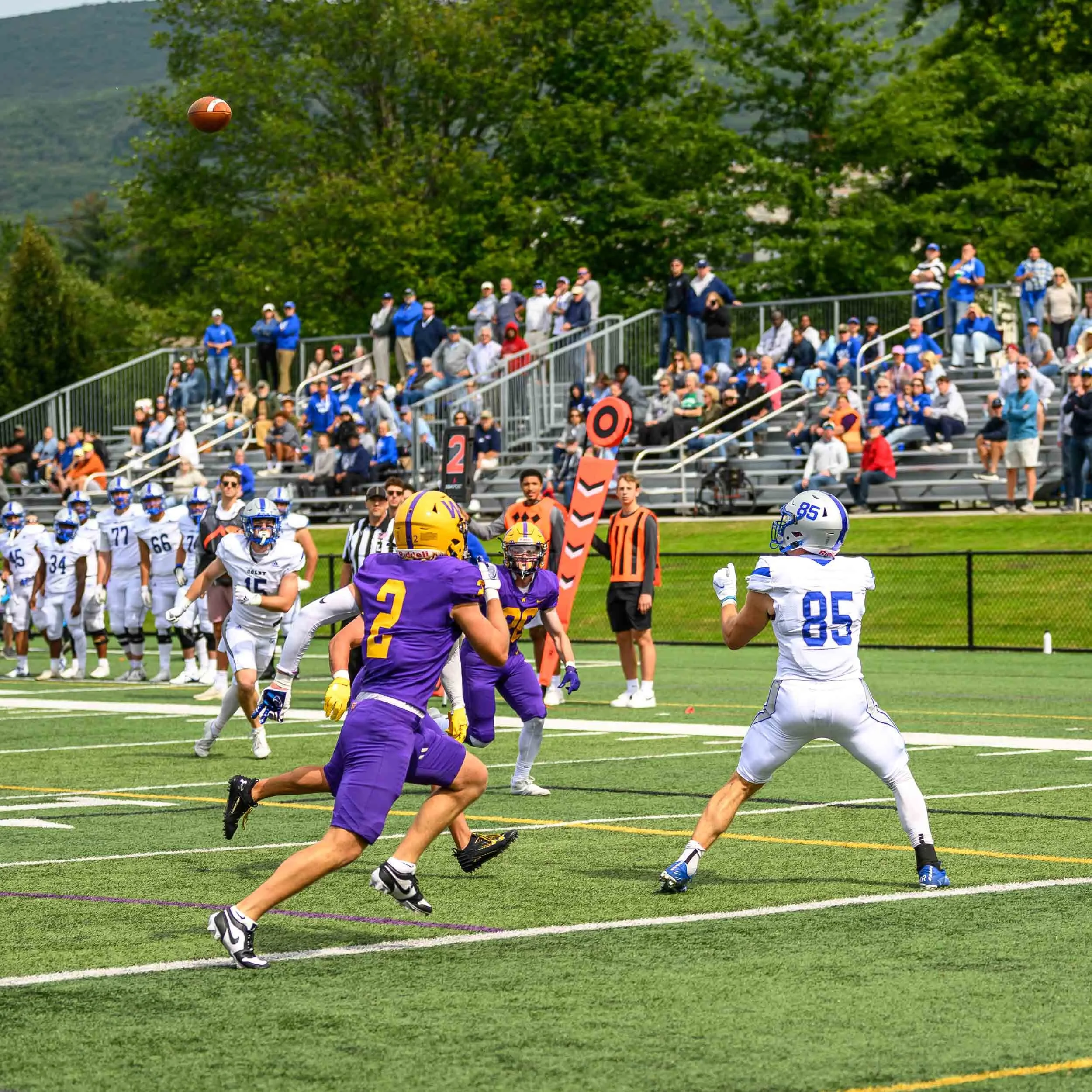 football 23-2.jpg