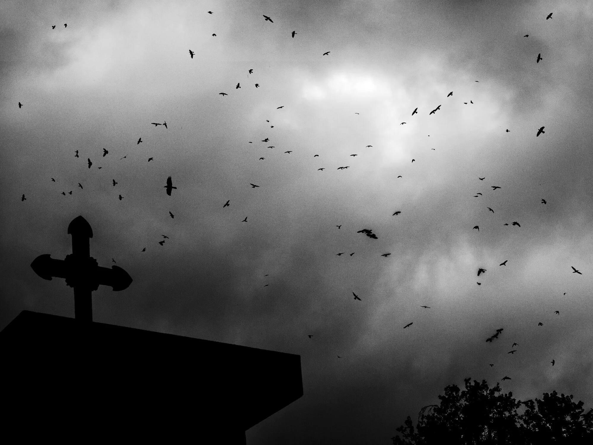  Momondo: The Log Lady-- Photo: Rasmus Flindt Pedersen, (+45) 41604460, rasmus@flindtpedersen.com, www.flindtpedersen.com -- 