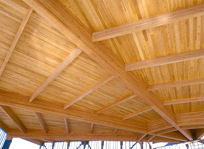 Long span glulam timbers