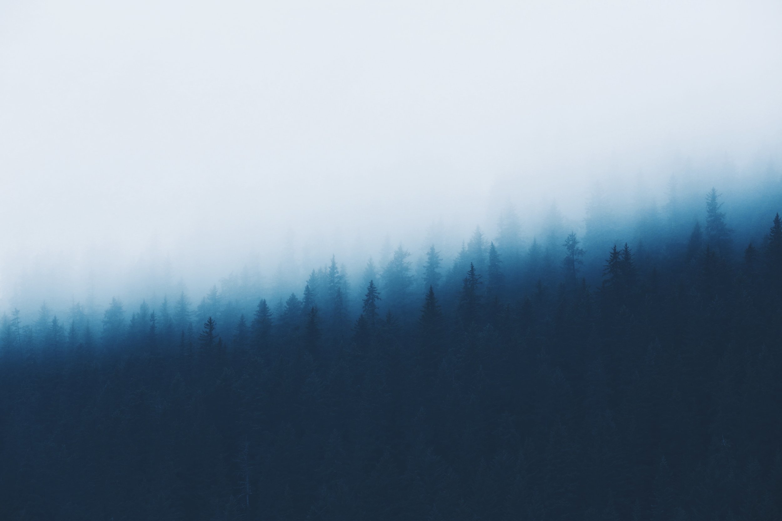 EC851598-66A6-4D47-97F4-62ABCC68A86C.JPG