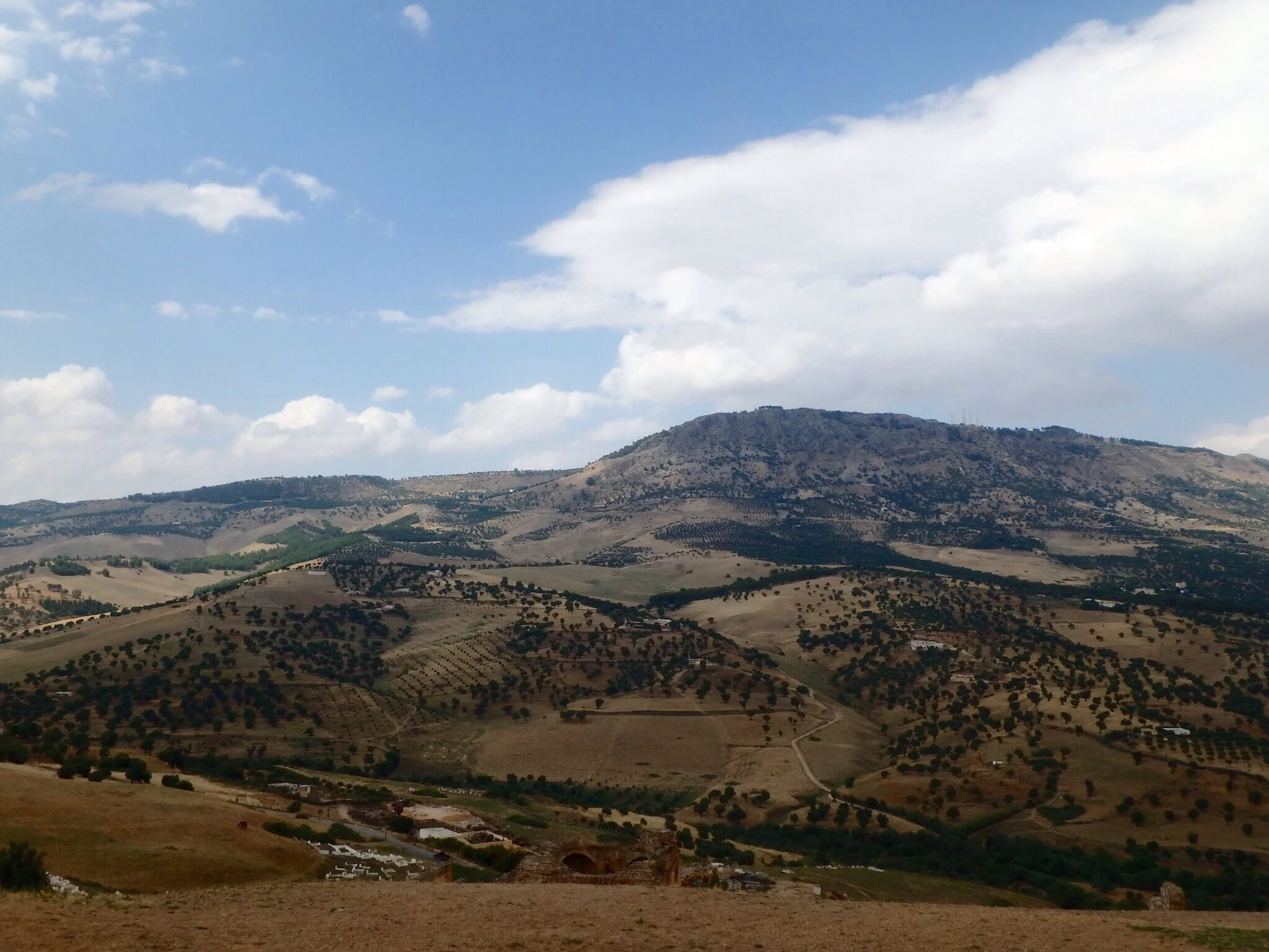 Turn 180 degrees around from the view of the medina and this is just on the other side of the hill.