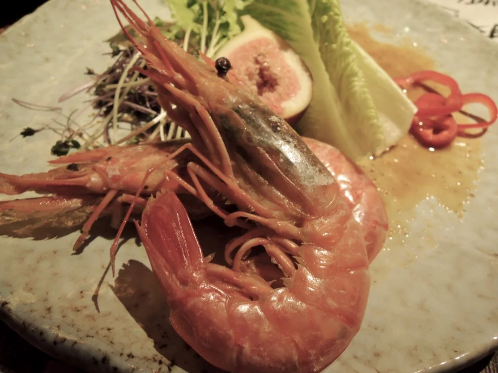 DSCN1259.jpg