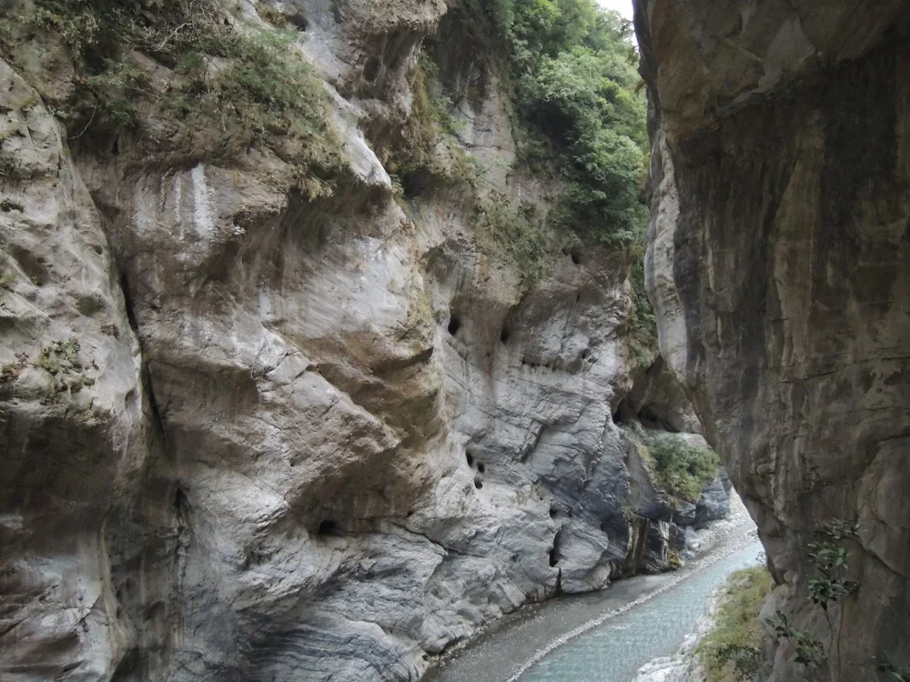 DSCN1446.jpg