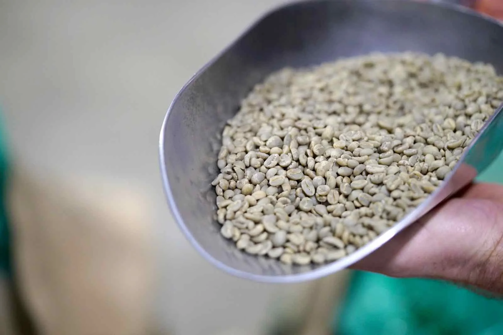 lamill-coffee-factory-tour-2.jpg