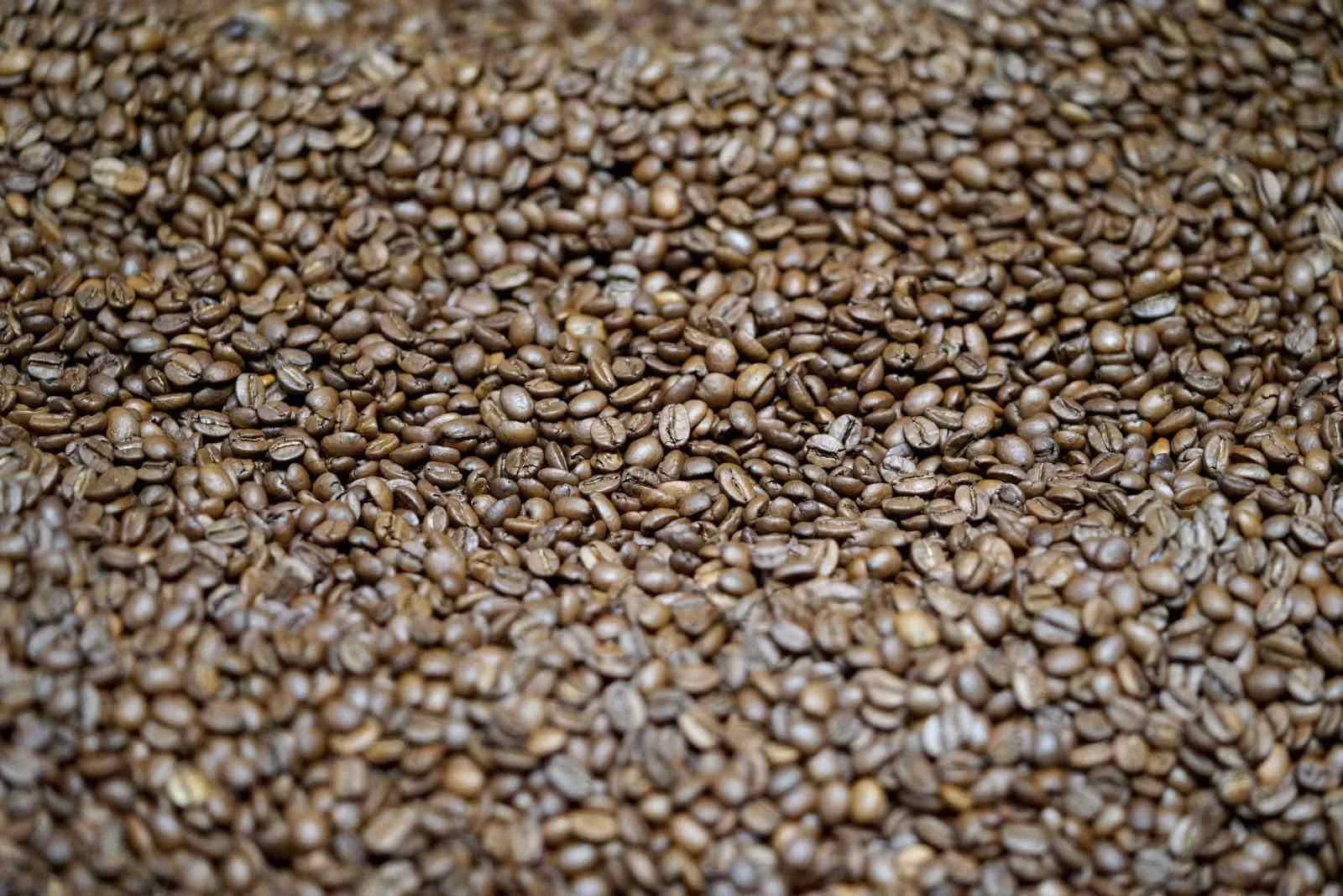 lamill-coffee-factory-tour-4.jpg
