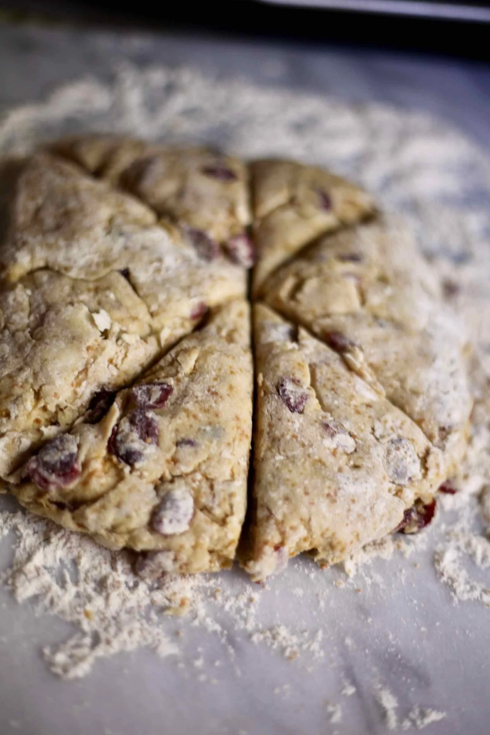cranberry-yogurt-scones-low-sugar-sucanat-2.jpg