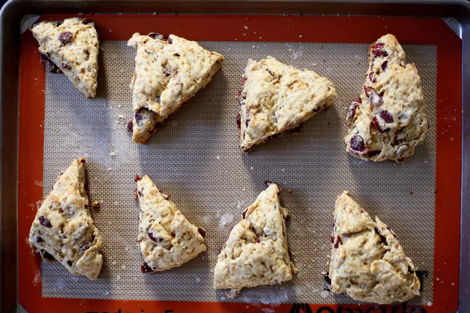 cranberry-yogurt-scones-low-sugar-sucanat.jpg