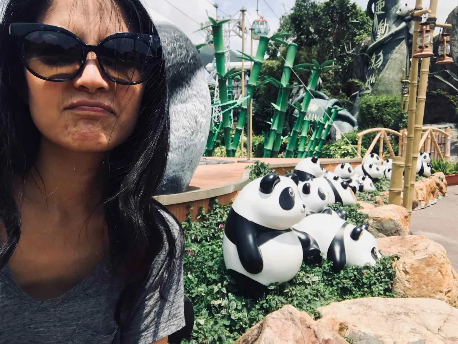 ocean-park-hong-kong-panda.jpg
