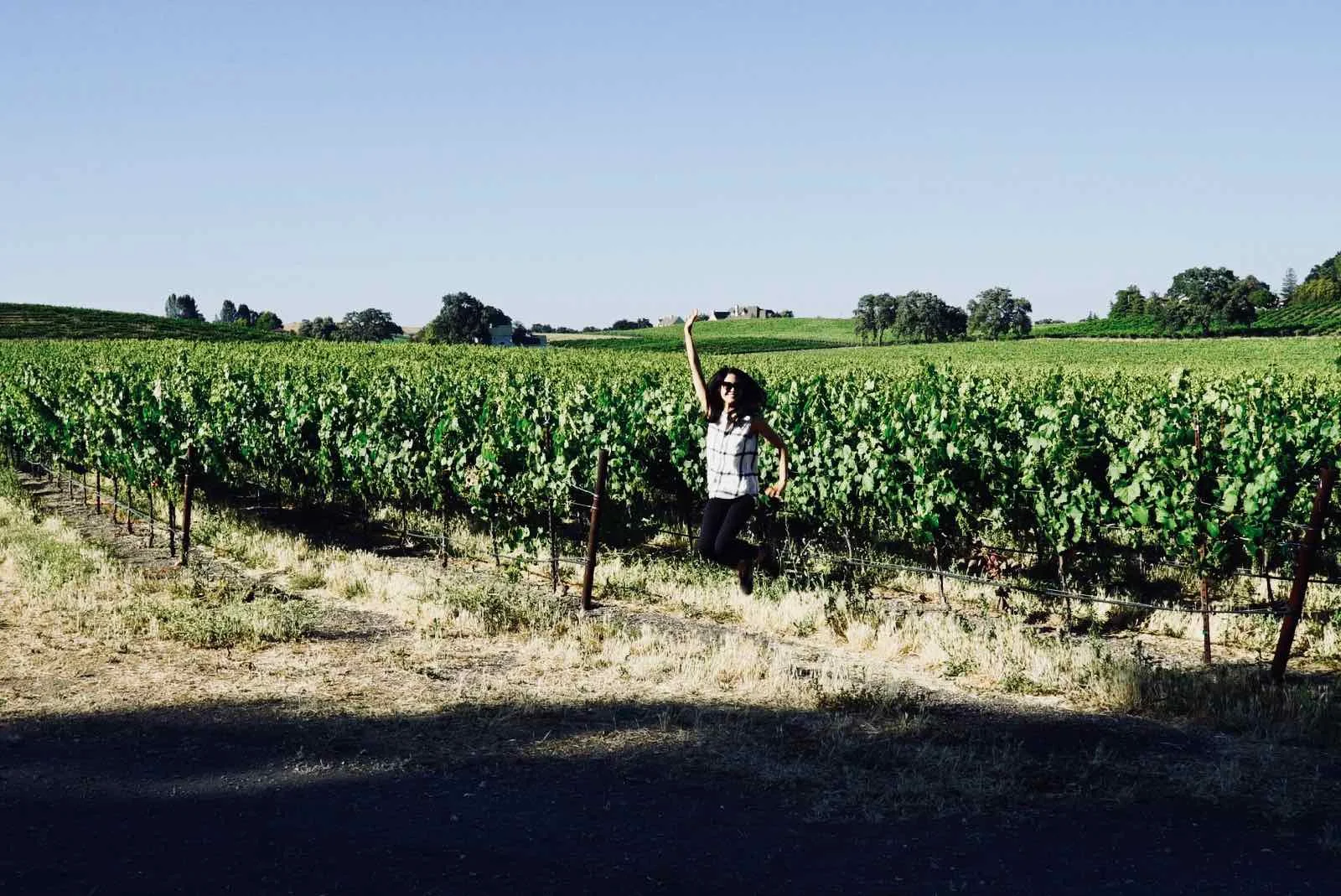 summerwood-winery-2.jpg