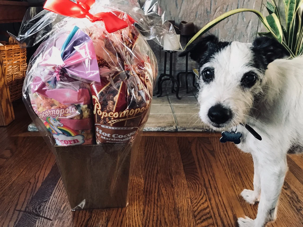 Popcornopolis-Gift-Basket.jpg