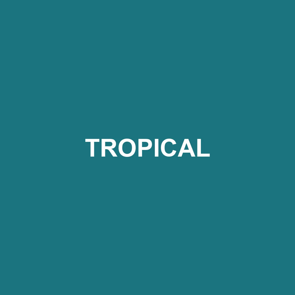 TROPICAL_VAPOR_COLORS_#ATHLETICUNION.jpg