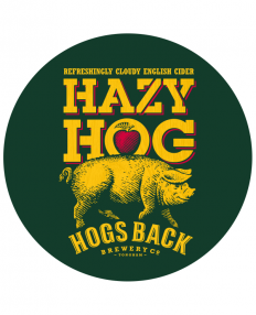 hazy-bg-232x286.png