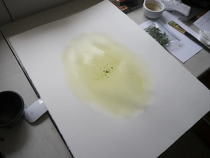 First stage. No, that's not weed in the bag.