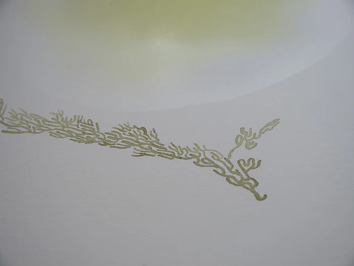 Beginning the drawing.