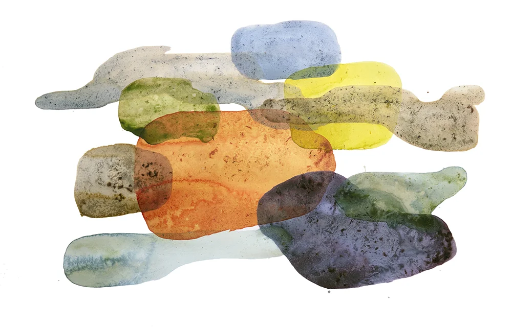 Works on paper using natural pigments created on site in different locations. Every piece is titled by it's particular latitude and longitude coordinates and is searchable on Google. Part of the "Points on Time" show in Monterey and Santa Cruz, CA. N38°18'12", W122°19'14" Weeds, berries, poppies, dandelions 30 in x 22 in