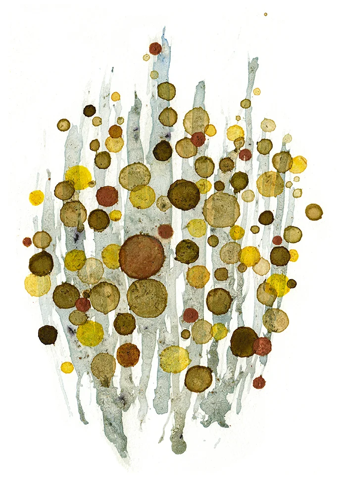 Works on paper using natural pigments created on site in different locations. Every piece is titled by it's particular latitude and longitude coordinates and is searchable on Google. Part of the "Points on Time" show in Monterey and Santa Cruz, CA. N38°19'35", W122°20'36" Weeds, minerals, dirt, berries, dandelions 13 in x 10 in