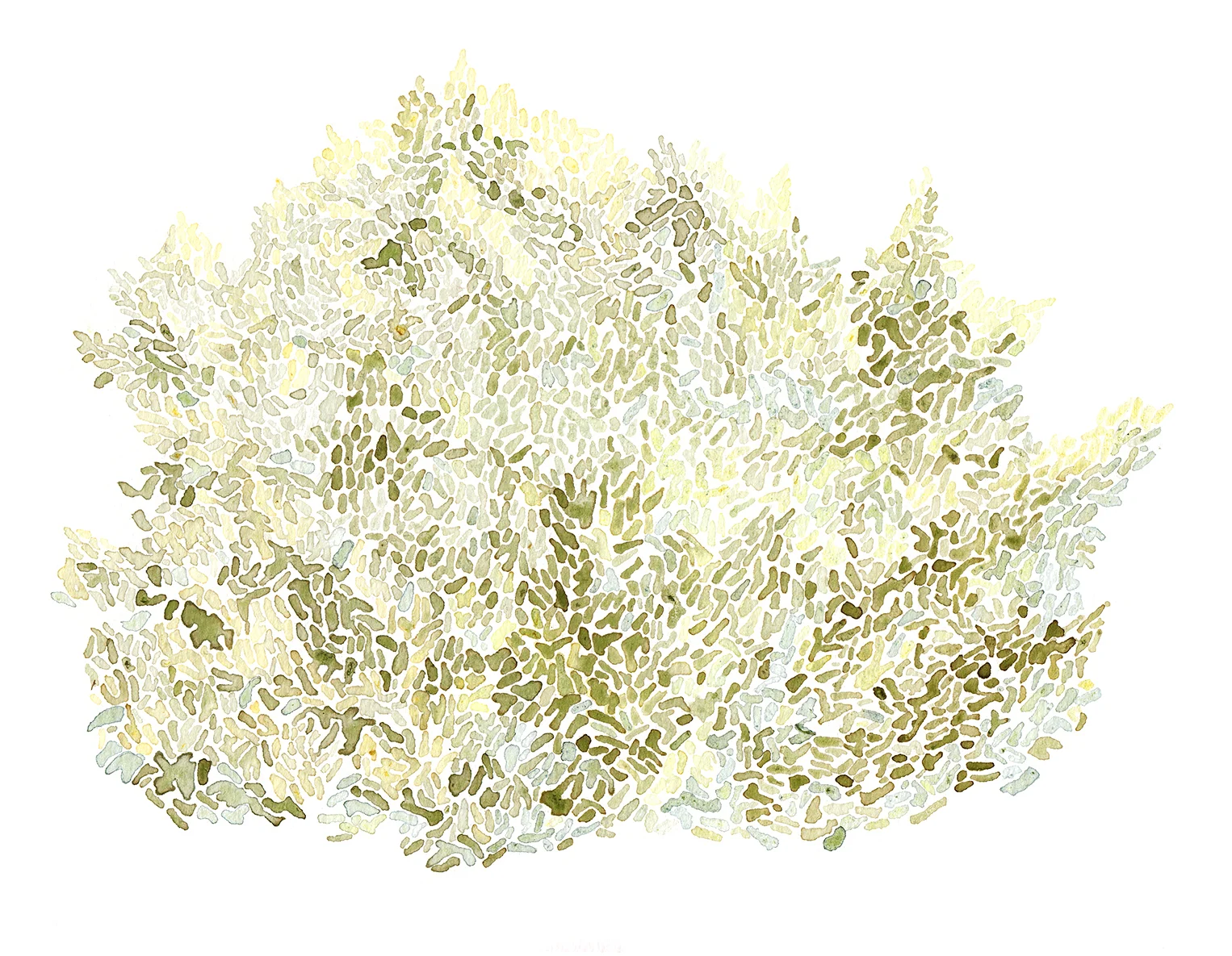 Works on paper using natural pigments created on site in different locations. Every piece is titled by it's particular latitude and longitude coordinates and is searchable on Google. Part of the "Points on Time" show in Monterey and Santa Cruz, CA. N38°17'39", W122°17'18" Weeds, berries, dandelions 13 in x 10 in