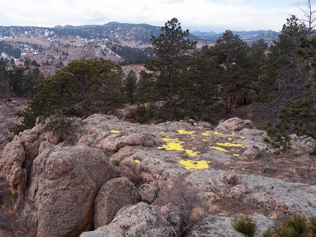 Yellow Sand / Red Feather Lakes, CO
