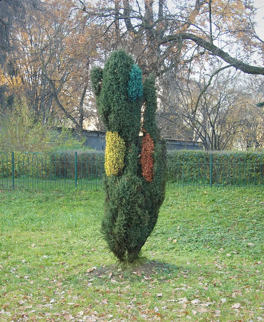 Shrub / Krakow, Poland