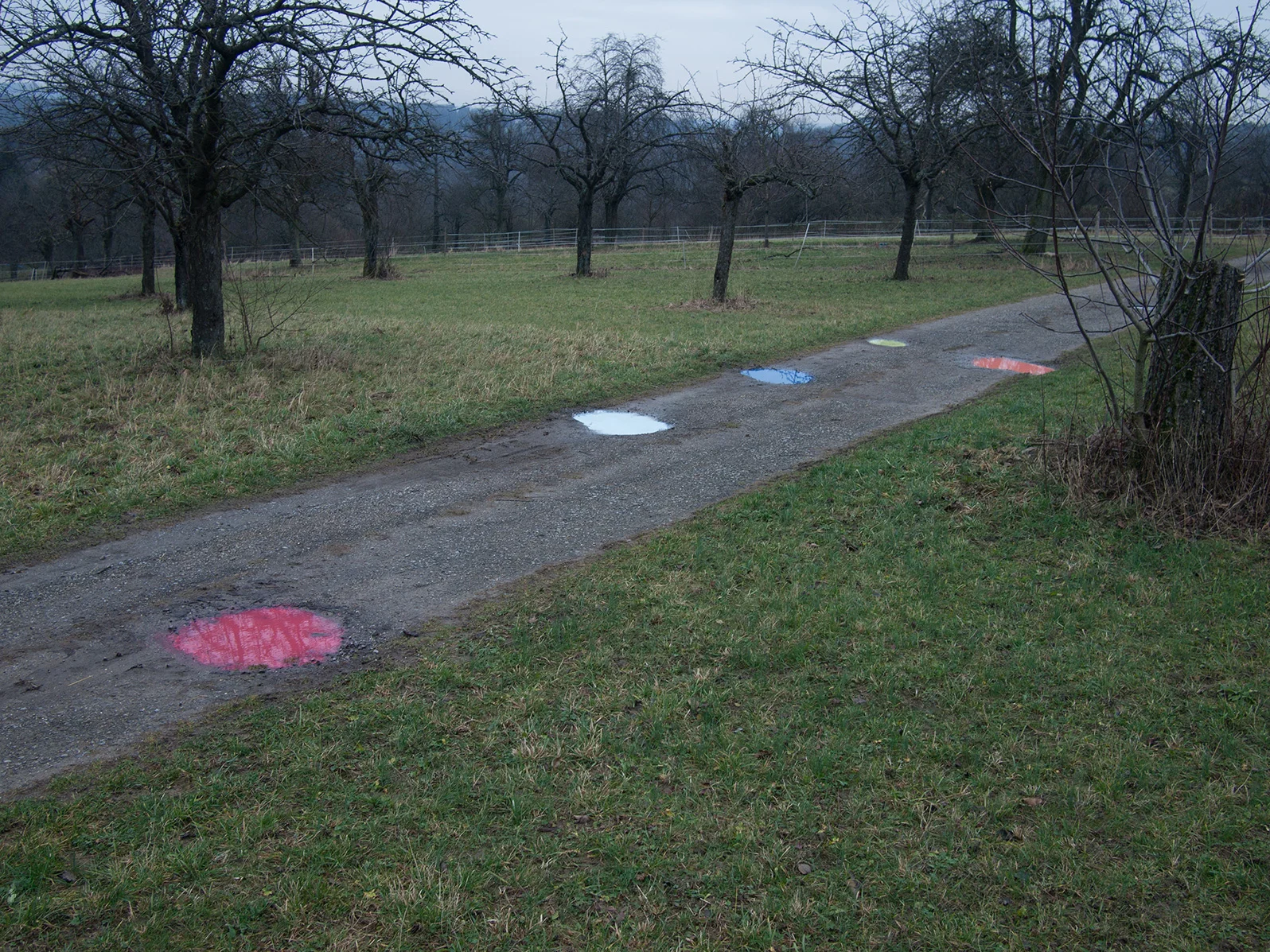 Puddles / Karlsruhe, Germany
