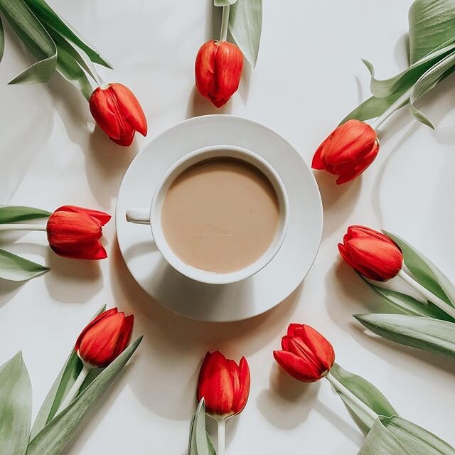 Tulips &amp; coffee in the morning🌷🌷🌷⠀⠀⠀⠀⠀⠀⠀⠀⠀
.⠀⠀⠀⠀⠀⠀⠀⠀⠀
.⠀⠀⠀⠀⠀⠀⠀⠀⠀
.⠀⠀⠀⠀⠀⠀⠀⠀⠀
.⁠⠀⠀⠀⠀⠀⠀⠀⠀⠀
.⠀⠀⠀⠀⠀⠀⠀⠀⠀
#hellospring #spring2020 #spring #tulips #tulipsofinstagram #tulipfarm #coffeeandflowers #drinkbettercoffee #coffeecultures⁣ #coffeeholic #coffe