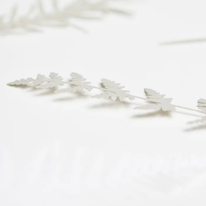 YesMaam-Shop-Papercuts-Botanical-139.jpg