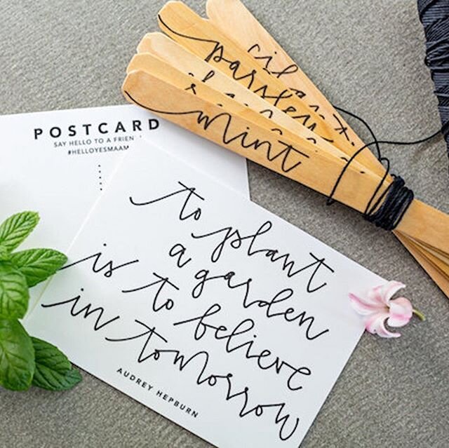 A few herb garden marker sets added to the shop! Hand lettered on natural wood and sure to give your garden some extra love. Makes a great Mother&rsquo;s Day gift!