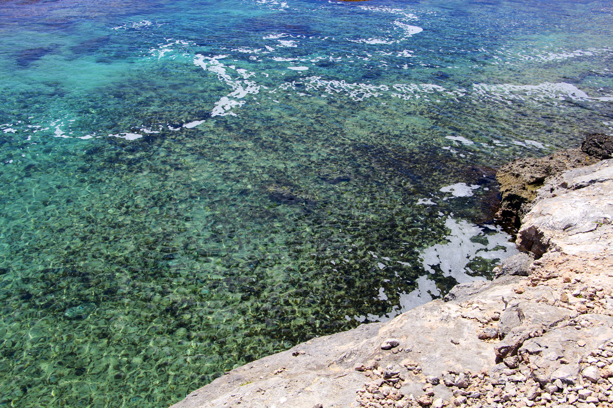 IMG_0543.png