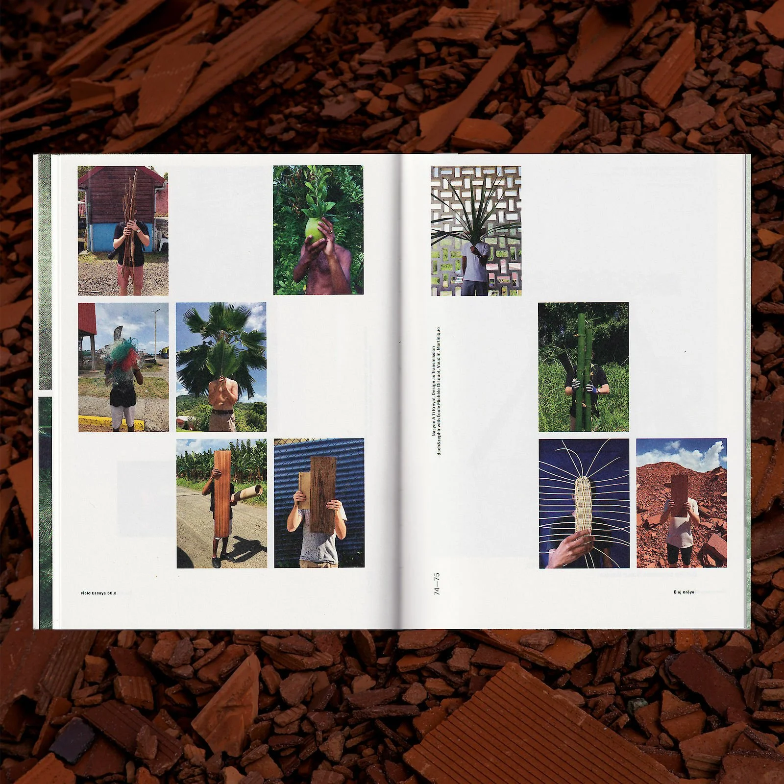dach_zephir_field_essays_2.1600x0.jpg