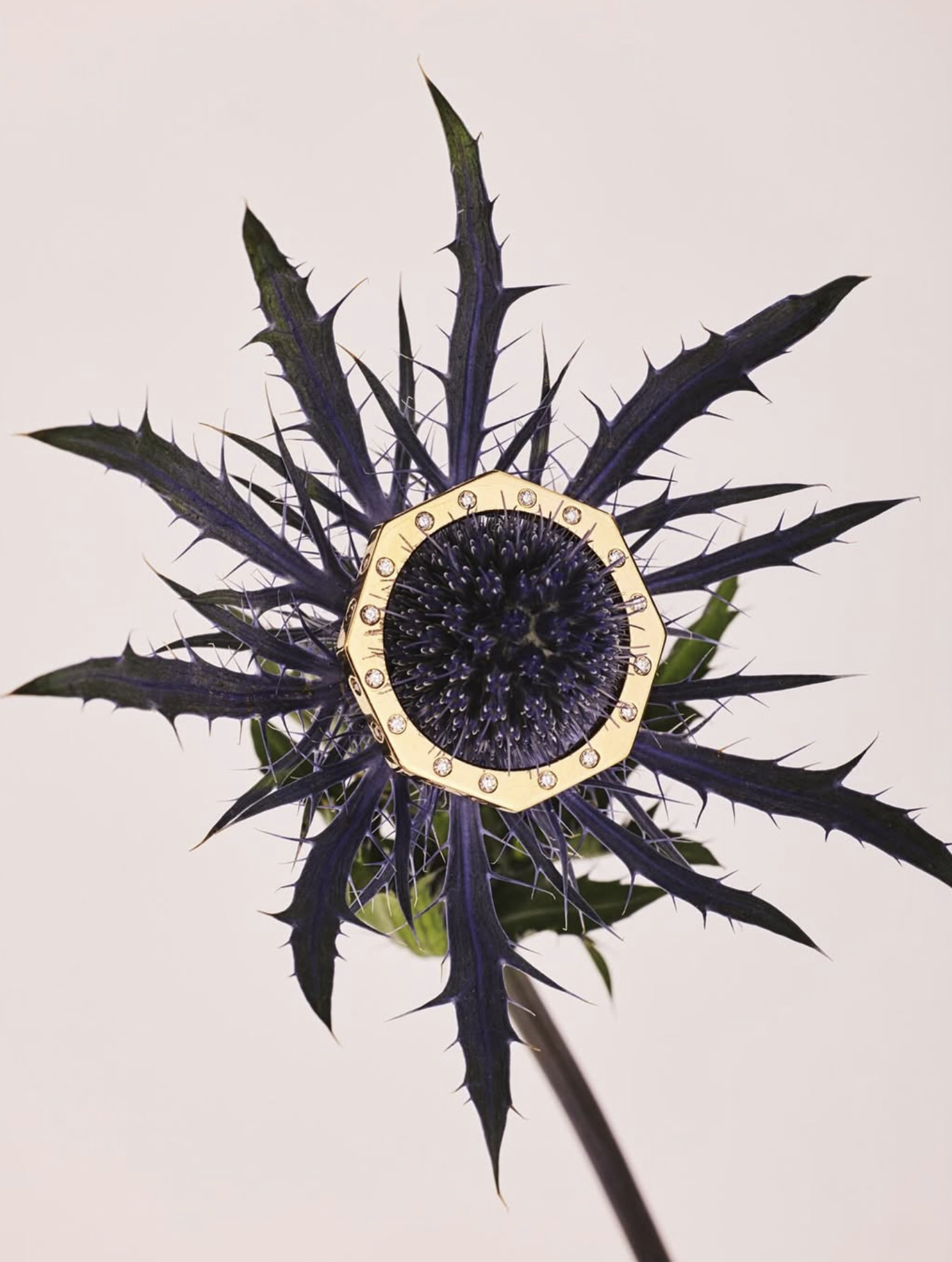 ti_ring_moana_luu.png
