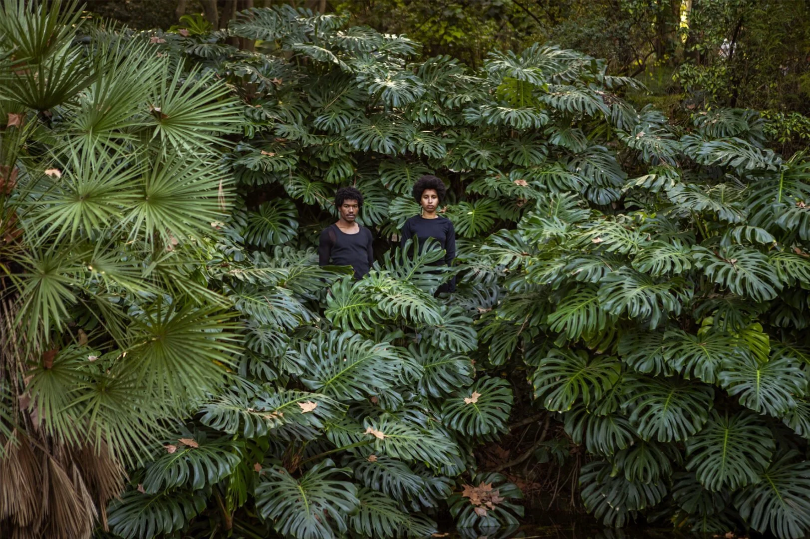 1_Creole-Garden_monica-de-miranda.jpg