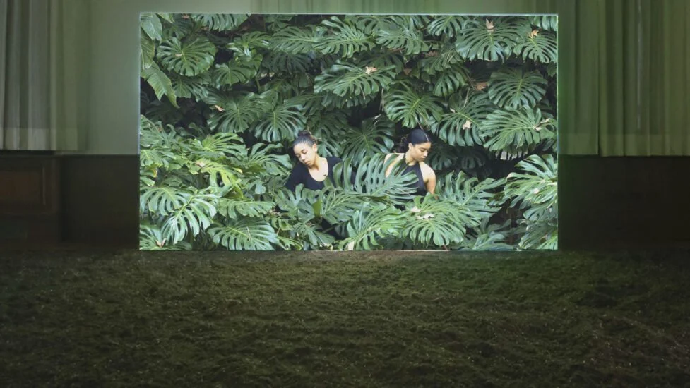 Installation-view-Monica-de-Miranda-Transplanting-2024-Wood-soil-HD-Video-and-Sound-30-20-60th-Venice-Biennale-2024-courtesy-of-the-artist-scaled-e1764166645948.jpg