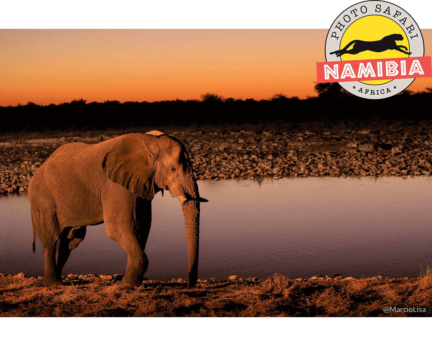 Elefante fotografado durante safari no Etosha, Namibia