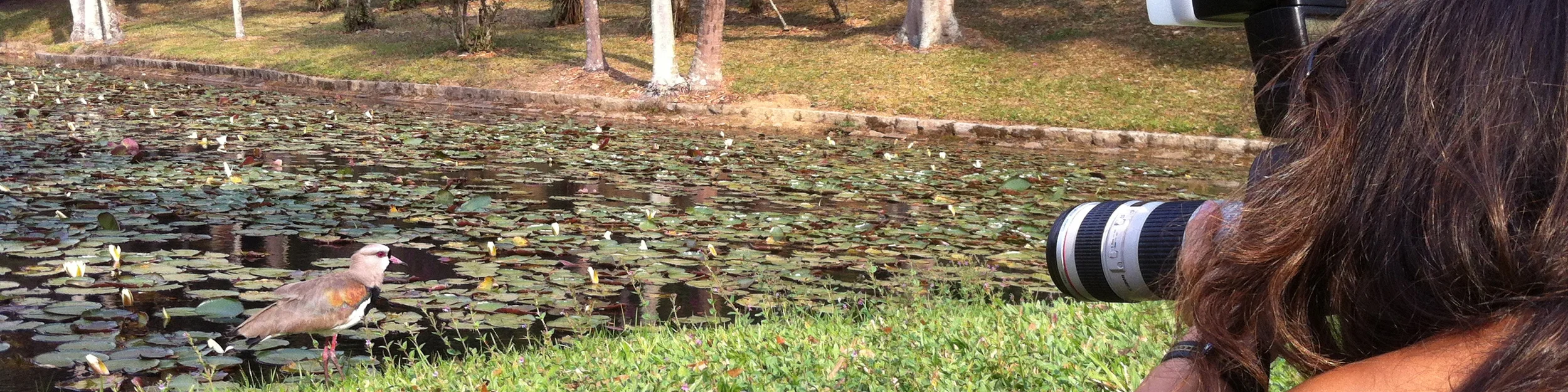 Prática no Jardim Botânico / SP
